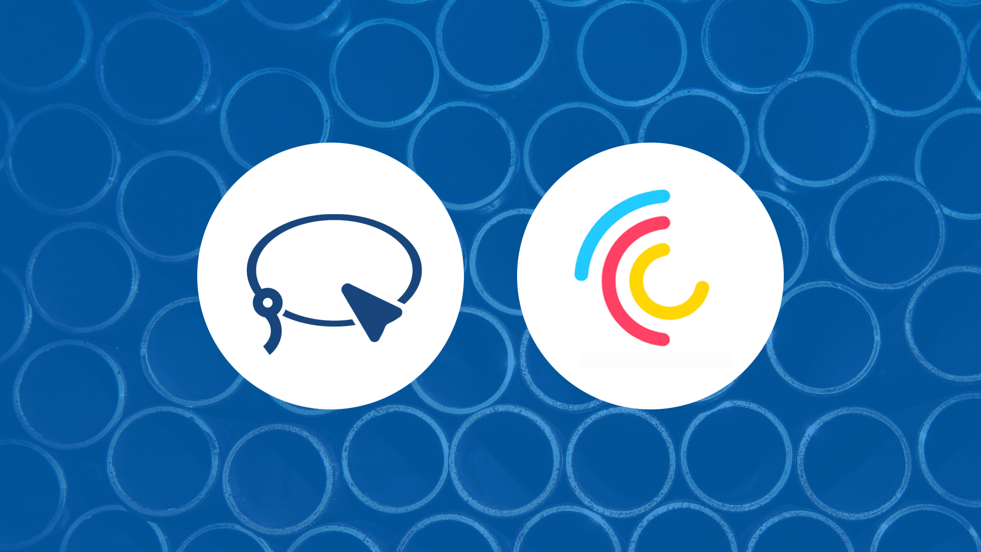 Composing a Customer Data Platform (CDP) with Lassoo and Castled